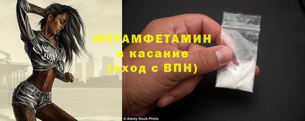 сатива Дмитриев
