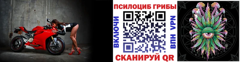 Псилоцибиновые грибы ЛСД  Железноводск 