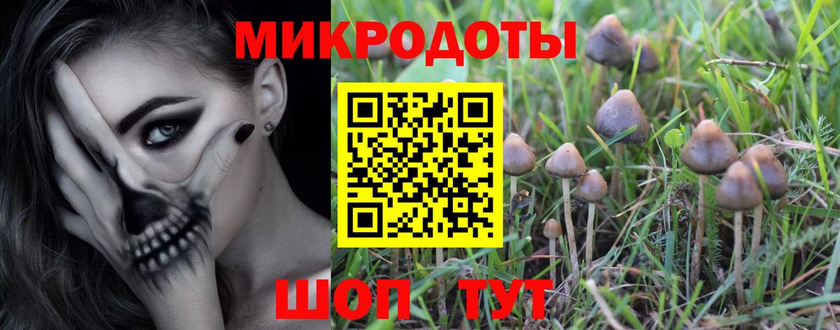 Железноводск  Галлюциногенные грибы GOLDEN TEACHER  Галлюциногенные грибы прущие грибы  Вход с VPN 